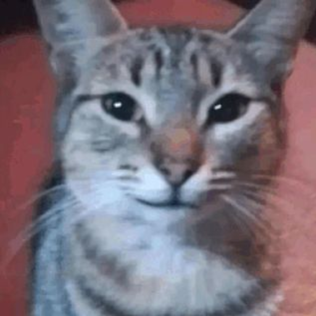 Smug Cat, cover star